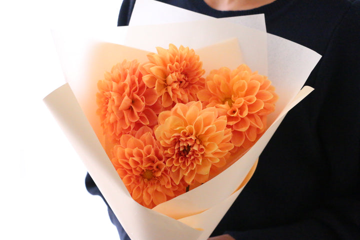 オレンジ色のダリアの花束（5本）