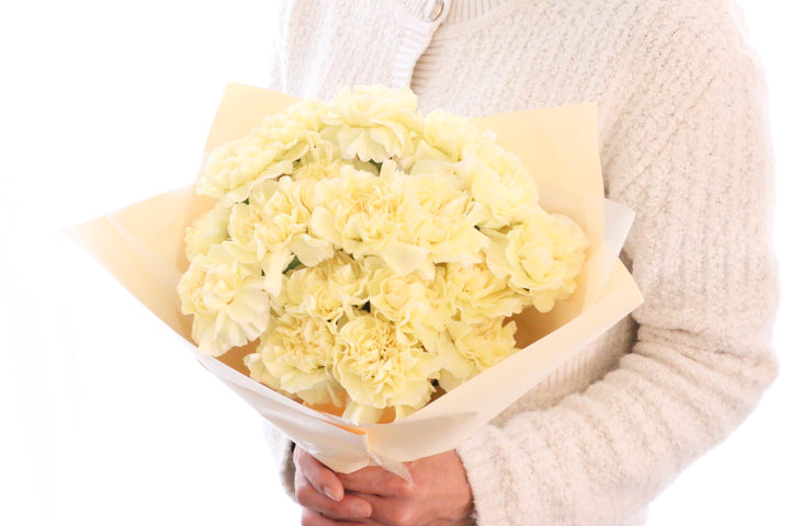 淡い黄色のカーネーションの花束（18本）