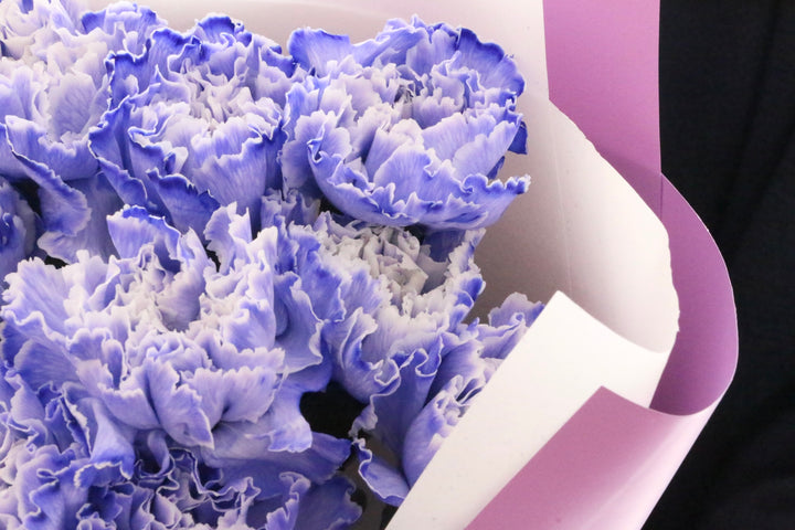 紫のカーネーションの花束（9本）