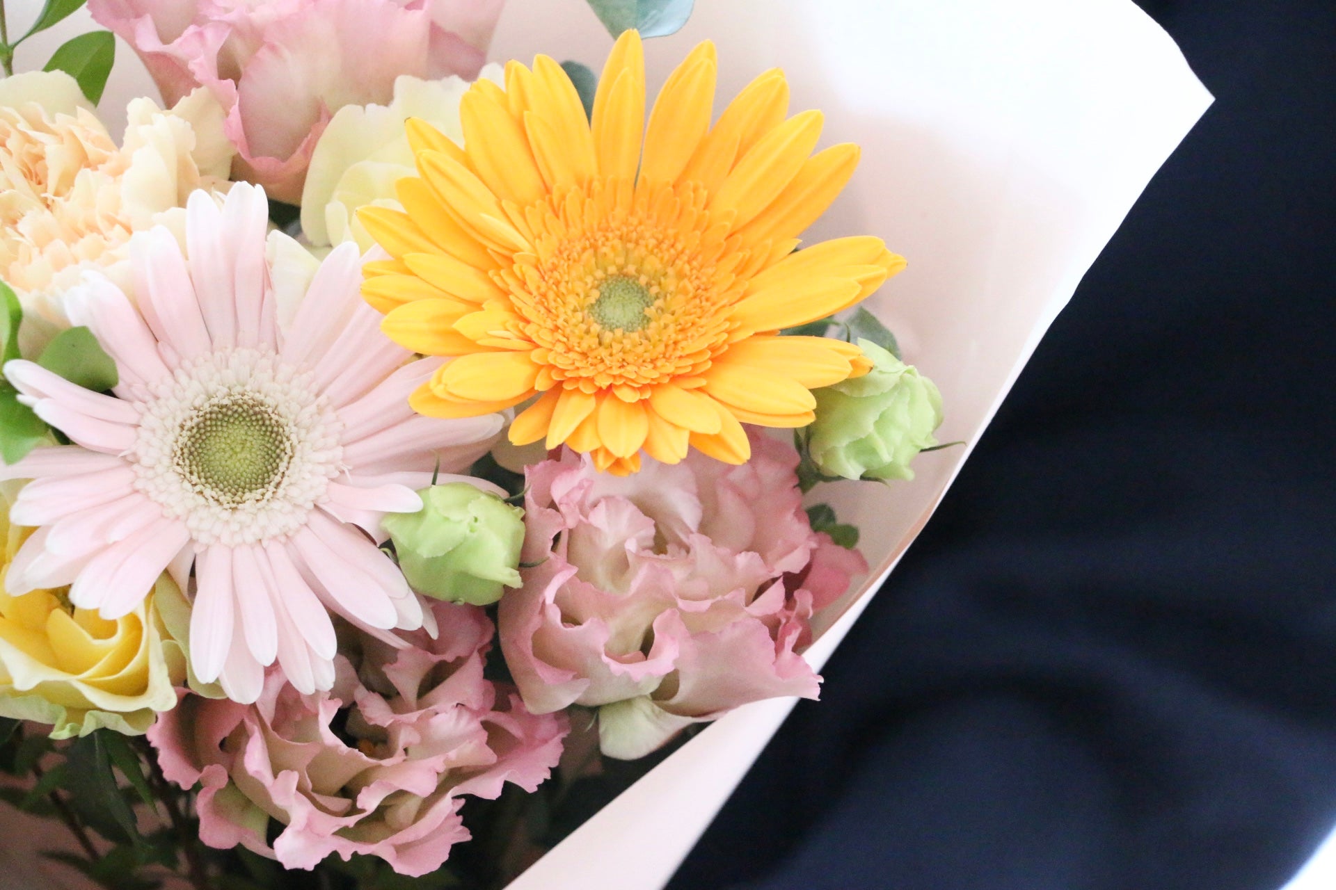 hana　hope 1個+love 1個-300値引き Tokyo 7th Sisters VISUALIVE NANASUTA MINI LIVE starring SiSH