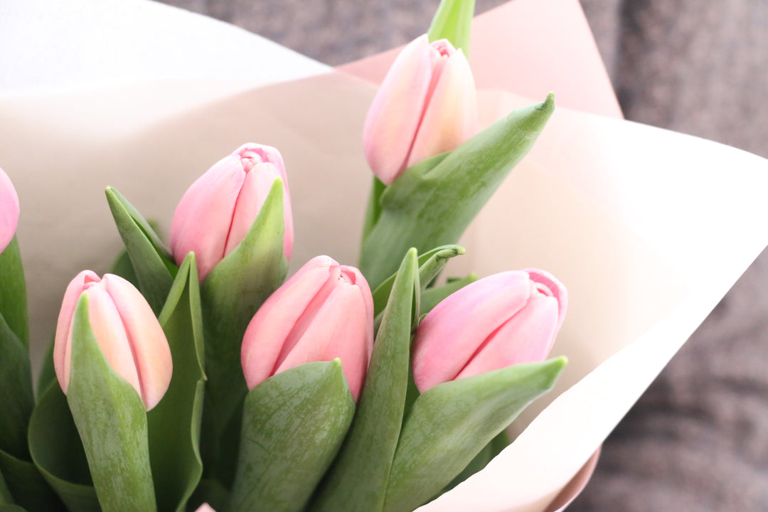 ピンクのチューリップの花束（8本）