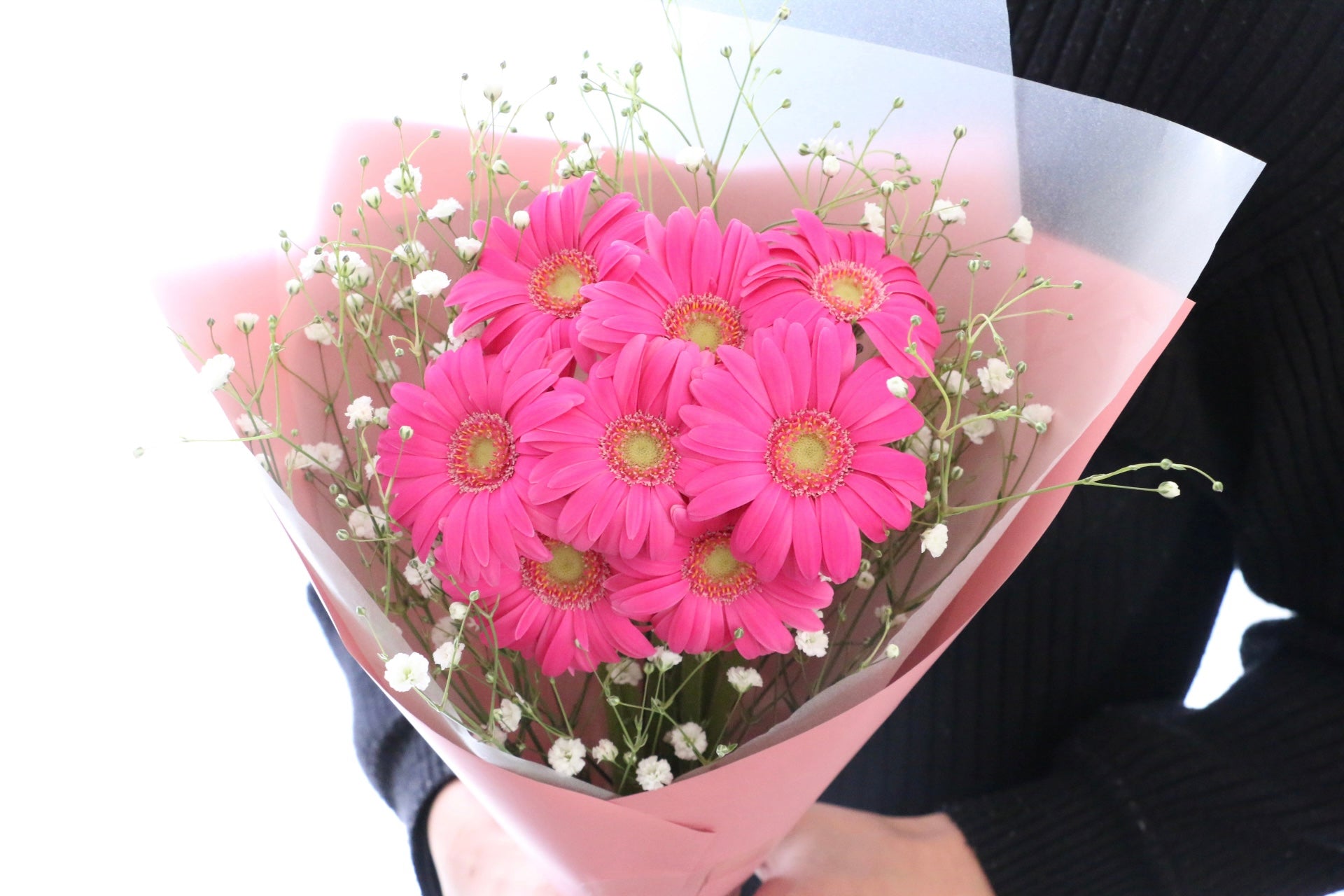 濃いピンク色のガーベラ（8本）とカスミソウの花束 – 花・花束の通販