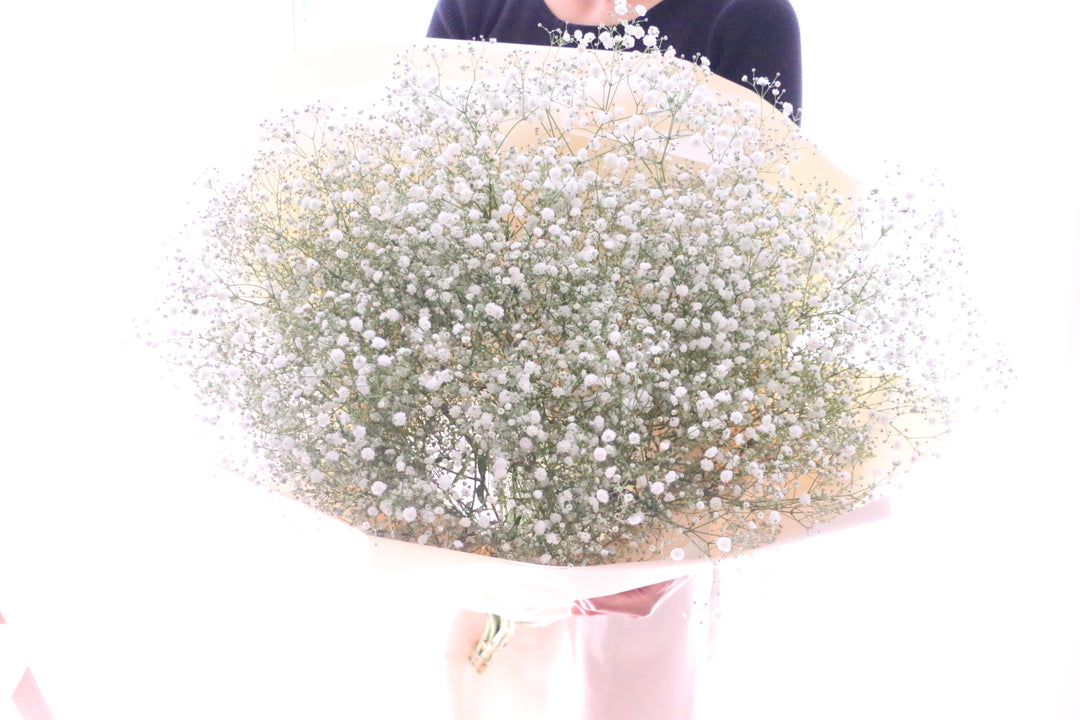 【プロポーズの花束】カスミソウの花束（10本）