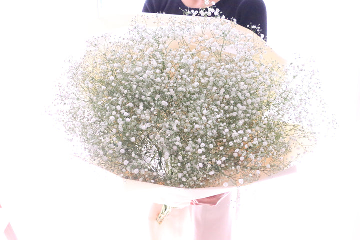 【プロポーズの花束】カスミソウの花束（10本）