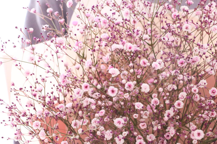 ピンク色のカスミソウ（かすみ草）の花束 5,000円