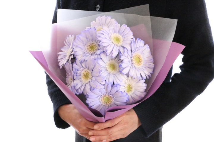 紫色のガーベラの花束（10本）
