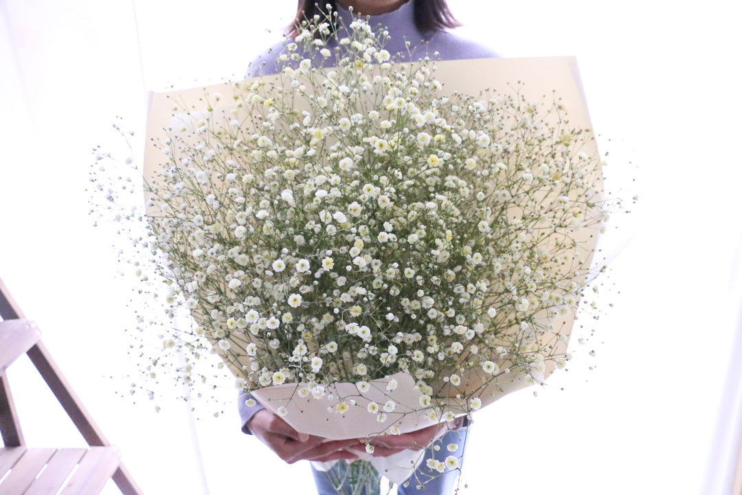 黄色のカスミソウ（かすみ草）の花束 8,000円 Lサイズ