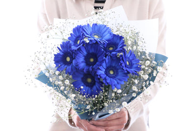 青色のガーベラ（8本）とカスミソウの花束