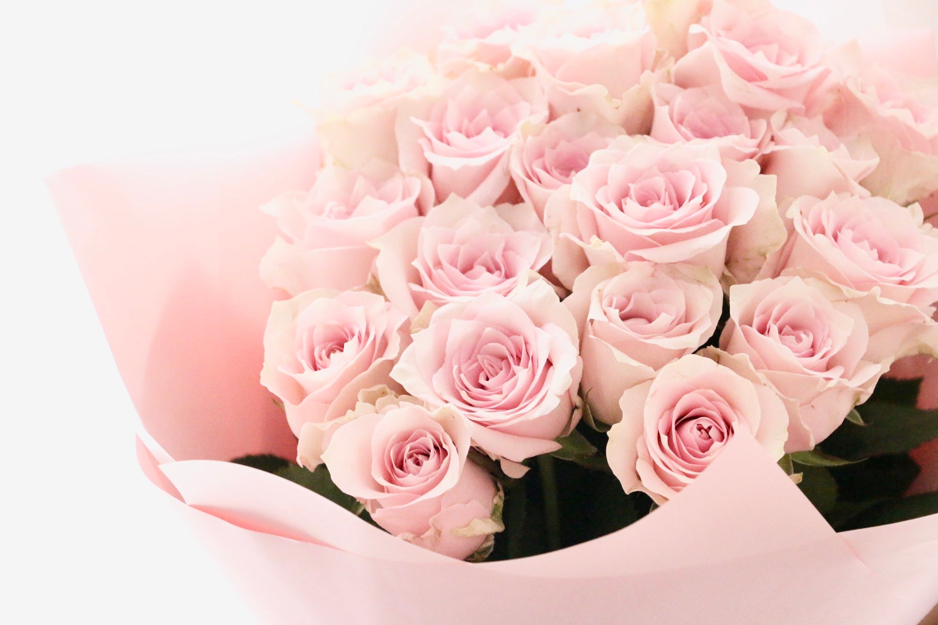 ピンク色バラの花束（20本）-真心あるのみ – 花・花束の通販サイト