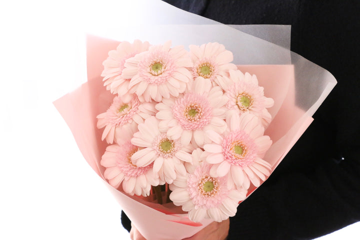 ピンク色のガーベラの花束（11本）-最愛