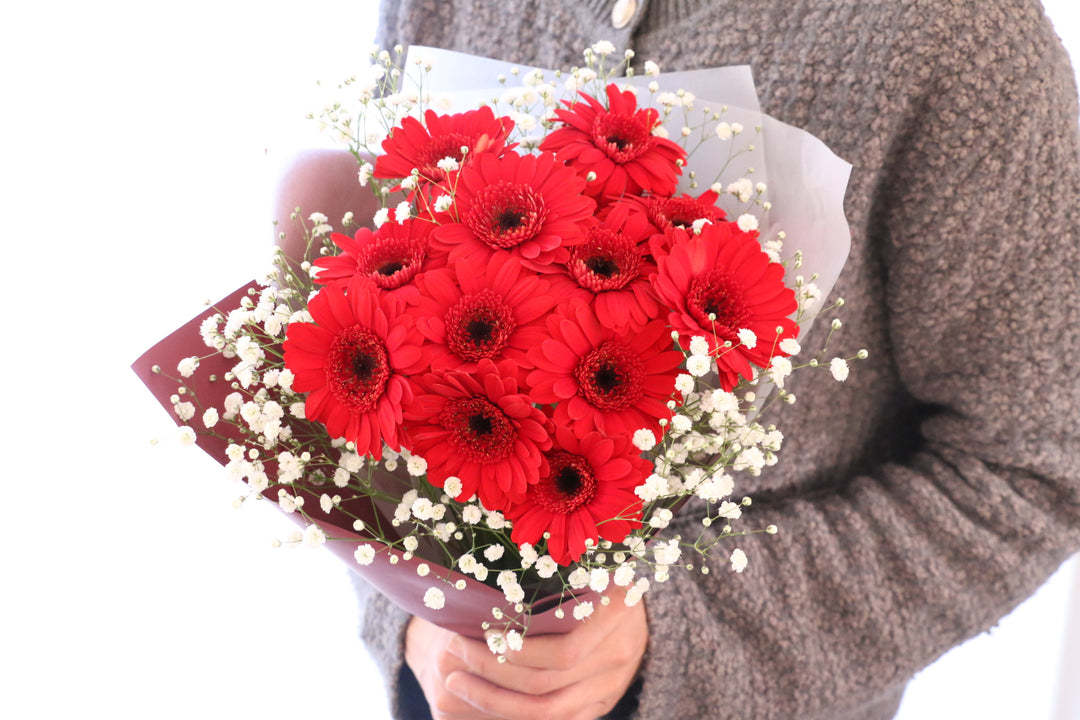 赤色のガーベラ（12本）とカスミソウの花束