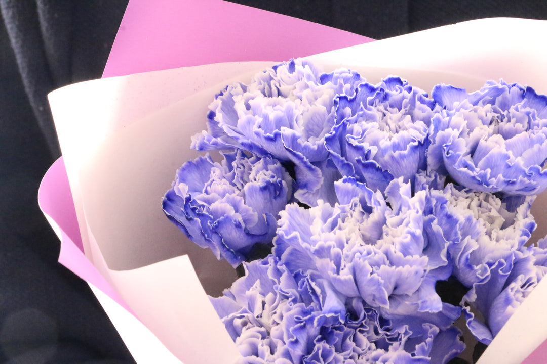 紫のカーネーションの花束（9本）