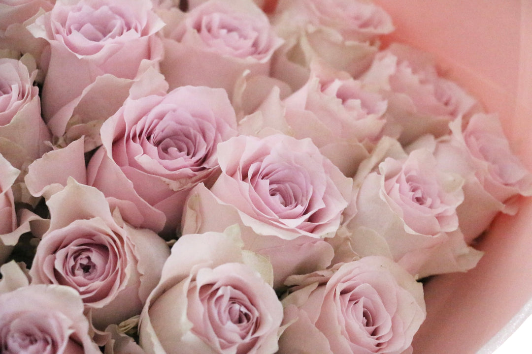 33本のピンク色のバラの花束-生まれ変わってもあなたを愛します
