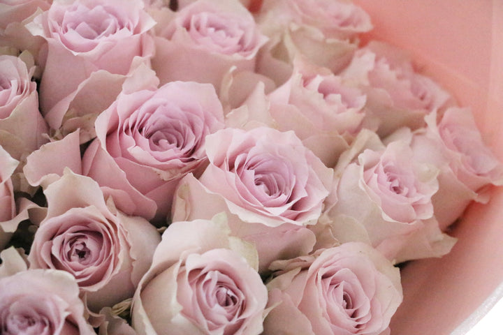 33本のピンク色のバラの花束-生まれ変わってもあなたを愛します