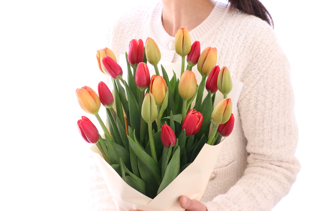 【2色MIX】チューリップの花束（20本）