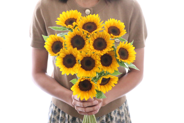 【プロポーズ】ひまわりの花束(12本)