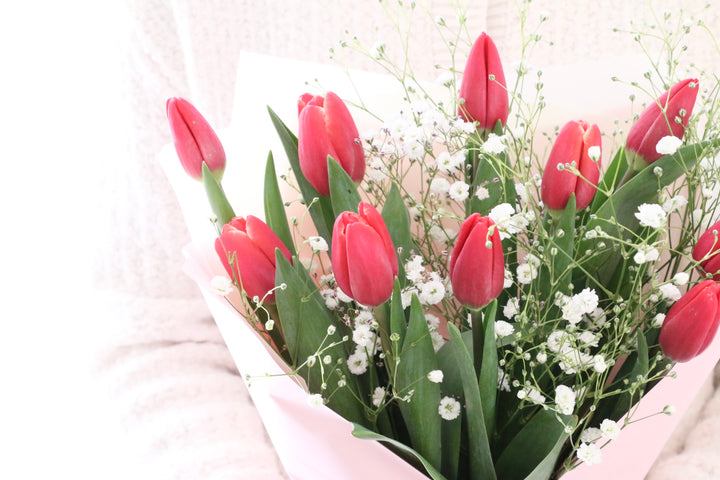 赤いチューリップ（10本）とカスミソウの花束