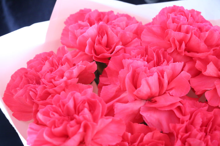 濃いピンクのカーネーションの花束（8本）-あなたの思いやりに感謝します