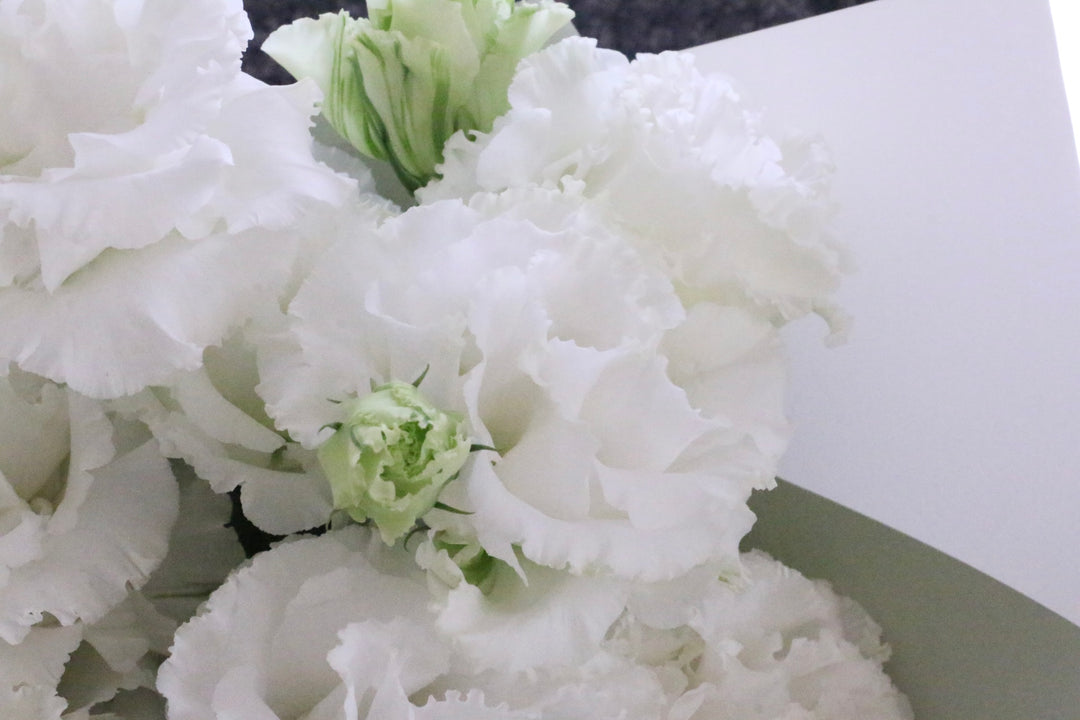 白いトルコキキョウの花束（5本）