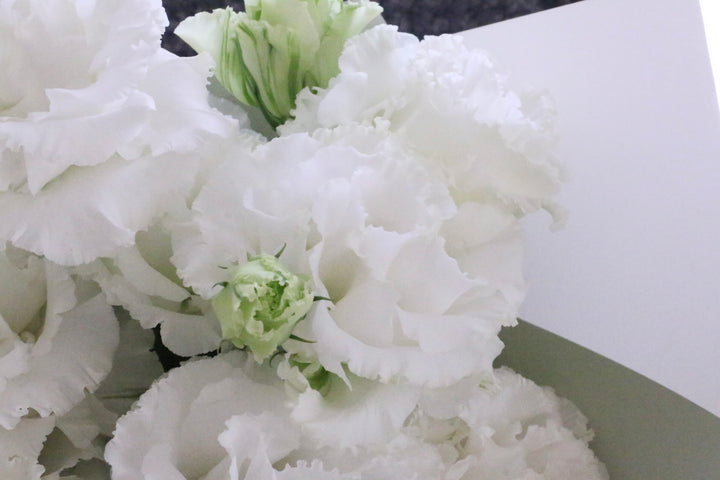 白いトルコキキョウの花束（5本）