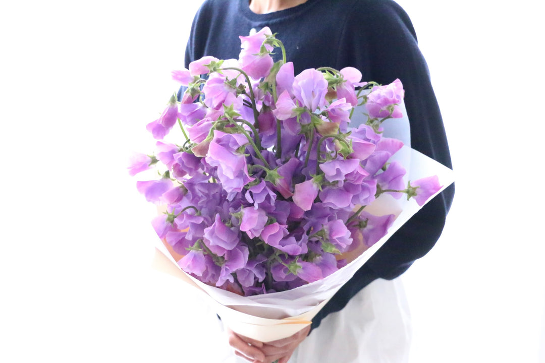 紫色のスイートピーの花束（40本）