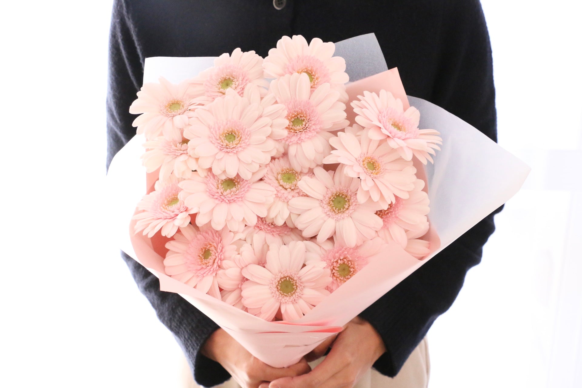 ピンク色のガーベラの花束（20本）-真心あるのみ – 花・花束の通販