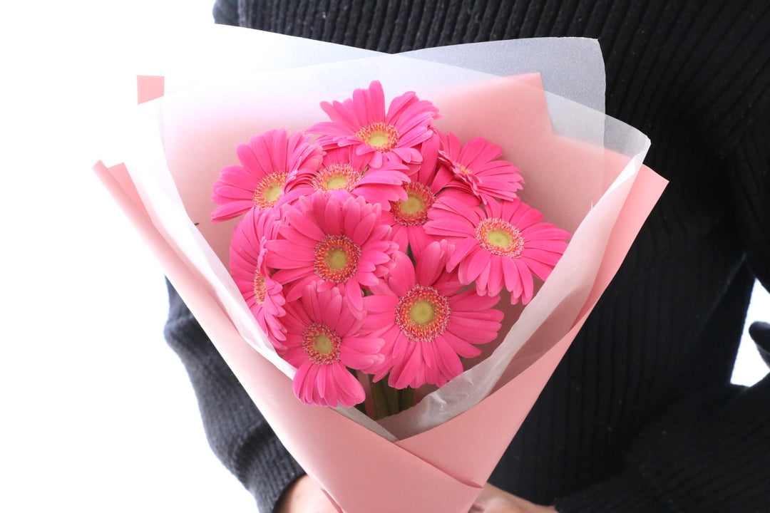 濃いピンク色のガーベラの花束（10本）
