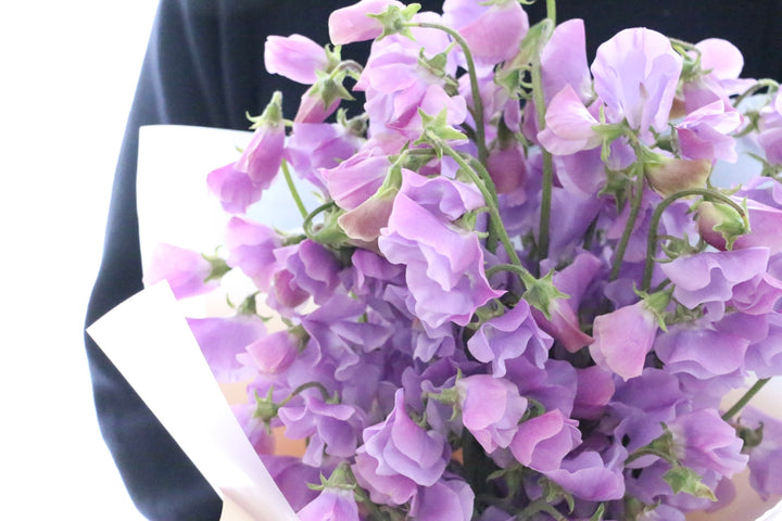 紫色のスイートピーの花束（40本）
