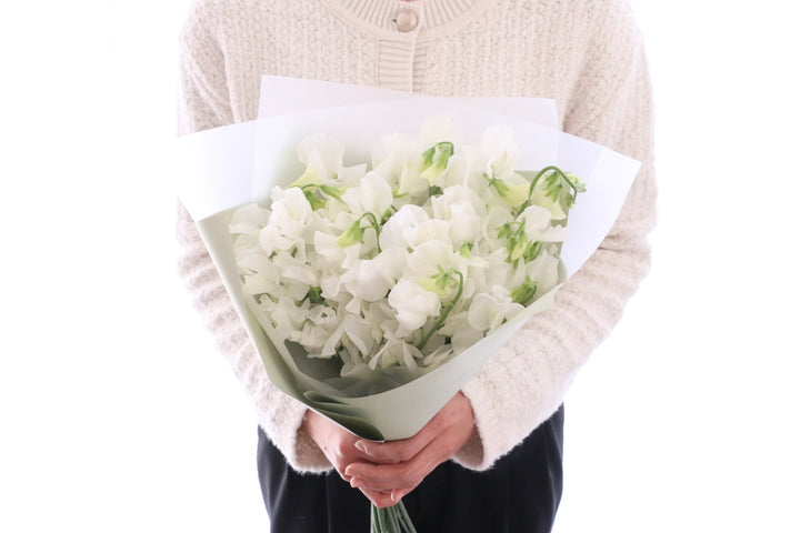 白いスイートピーの花束（25本）