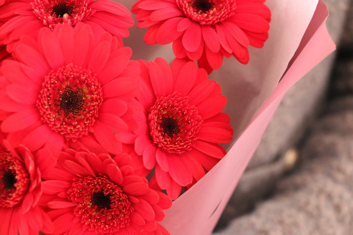 赤色のガーベラの花束（9本）-いつまでも一緒にいてください