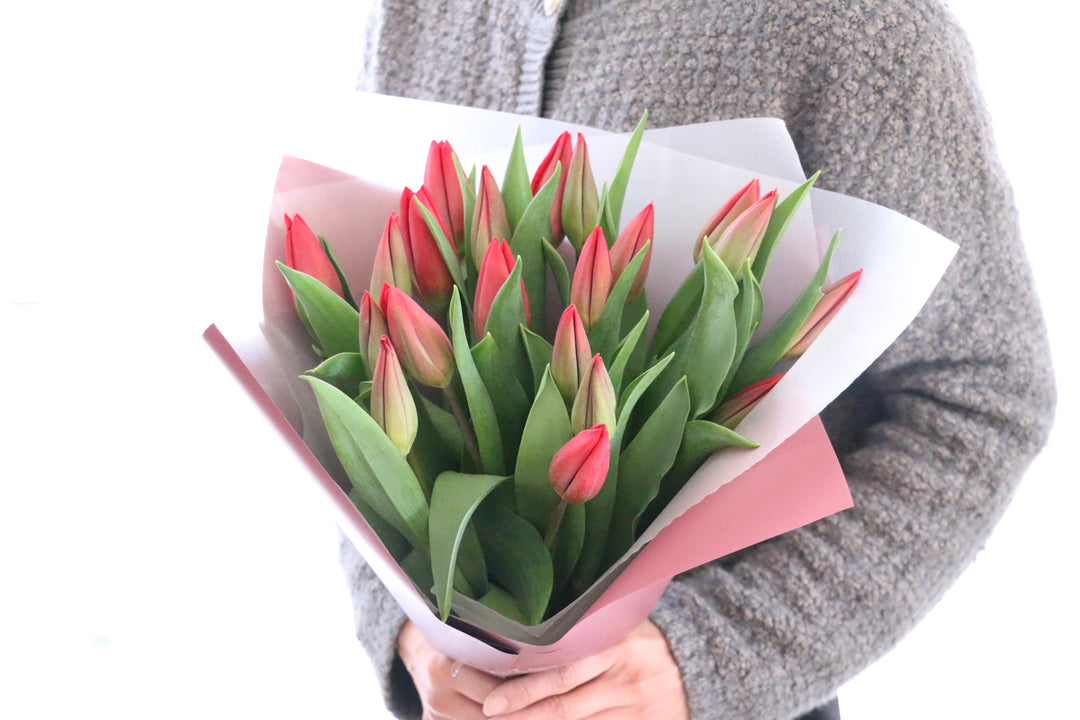赤いチューリップの花束（20本）