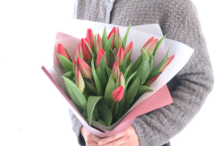 赤いチューリップの花束（20本）