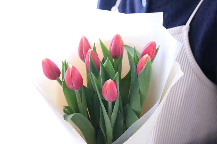 赤色のチューリップの花束（8本）