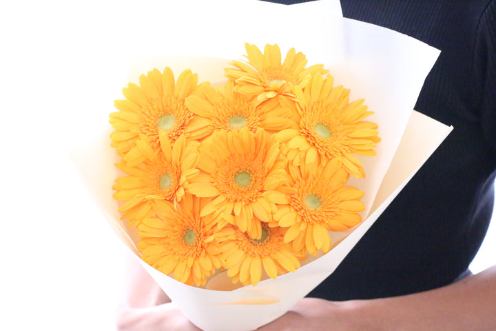 オレンジ色のガーベラの花束（9本）-いつまでも一緒にいてください