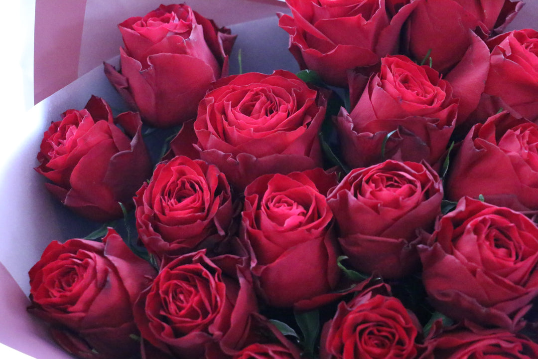 20本の赤いバラの花束-真心あるのみ