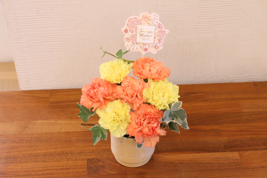 【母の日限定】カーネーションのアレンジメントSサイズ（黄色・オレンジ）