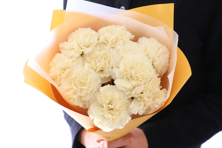 淡い黄色のカーネーションの花束（10本）