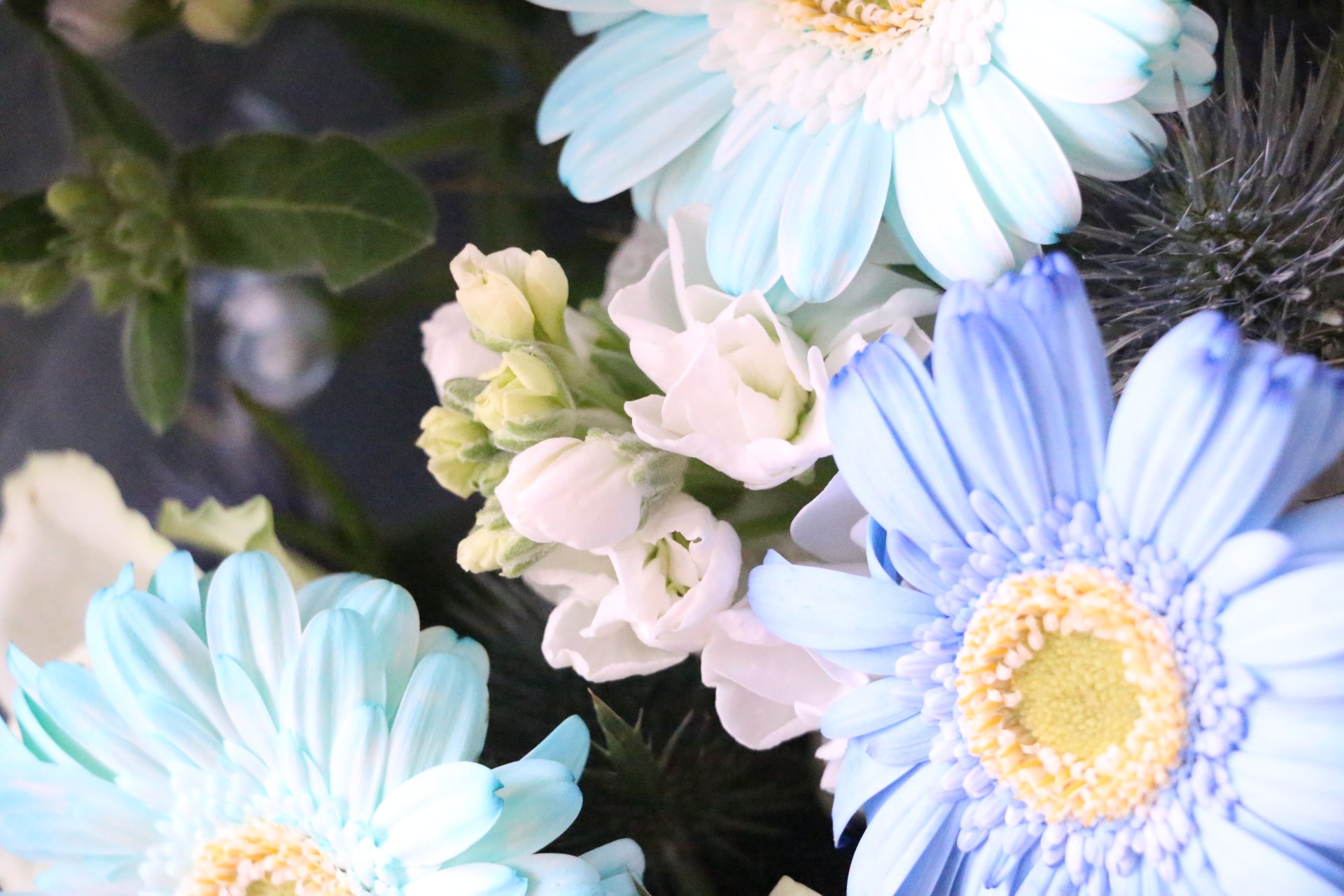 水色・青・白の花束 5,000円 – 花・花束の通販サイト｜HanaTaku
