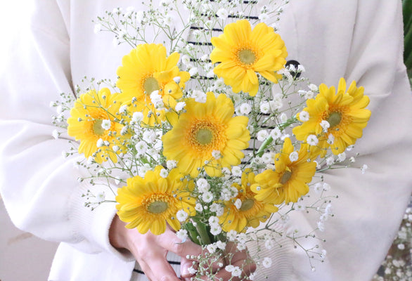 カスミソウと黄色ガーベラの花束