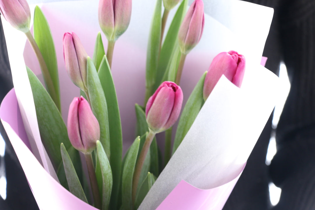 紫色のチューリップの花束（8本）