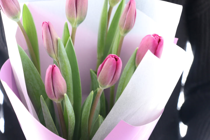 紫色のチューリップの花束（8本）