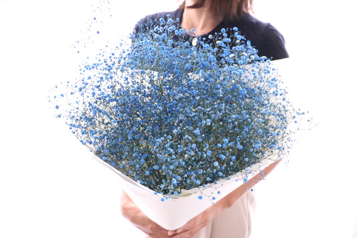 青のカスミソウ（かすみ草）の花束 8,000円