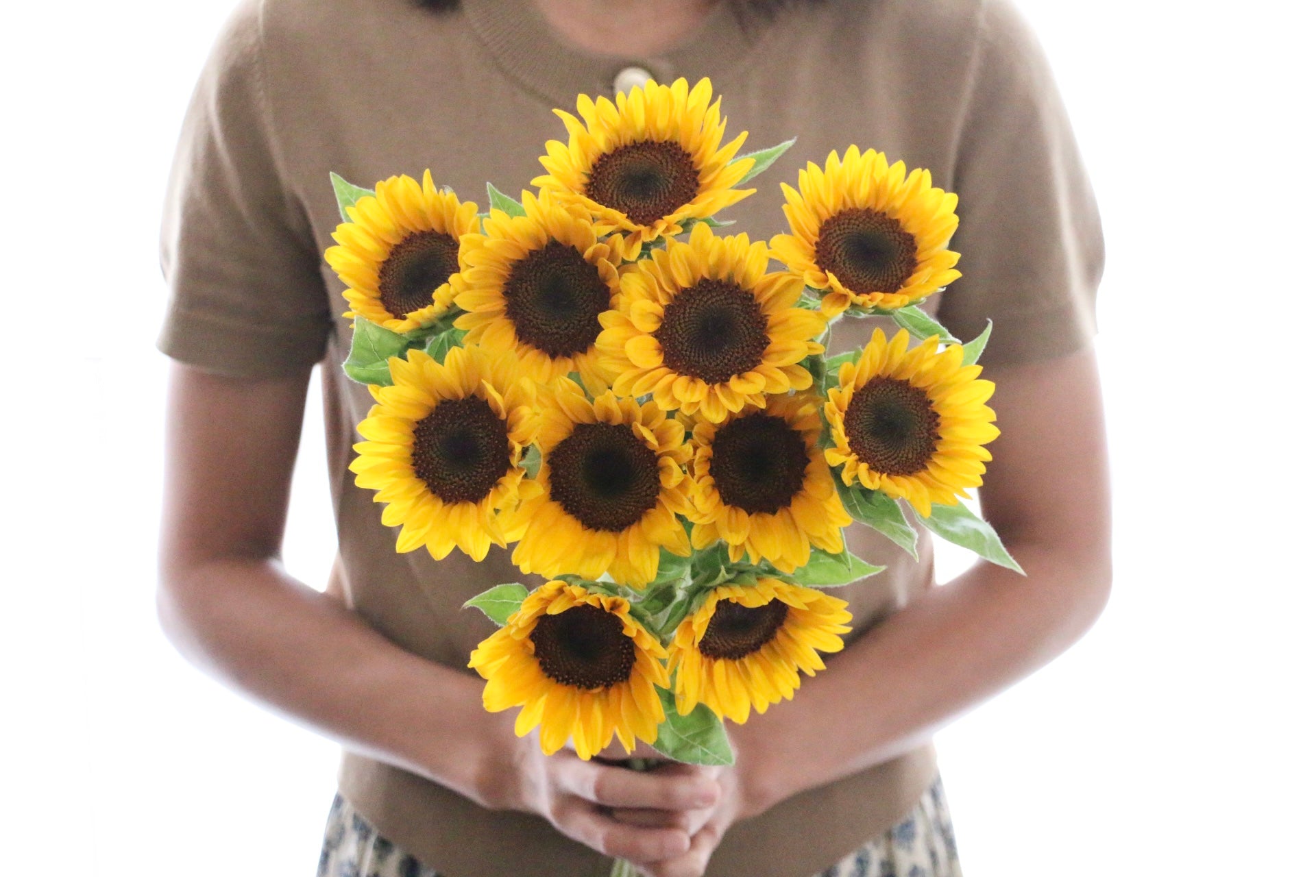 ひまわり#プロフ必読#ページ 9AFBA5D4-5A3E-4A08-A306-