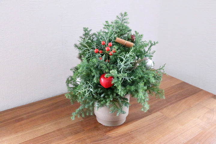 クリスマスツリーアレンジメント　Sサイズ　3,500円