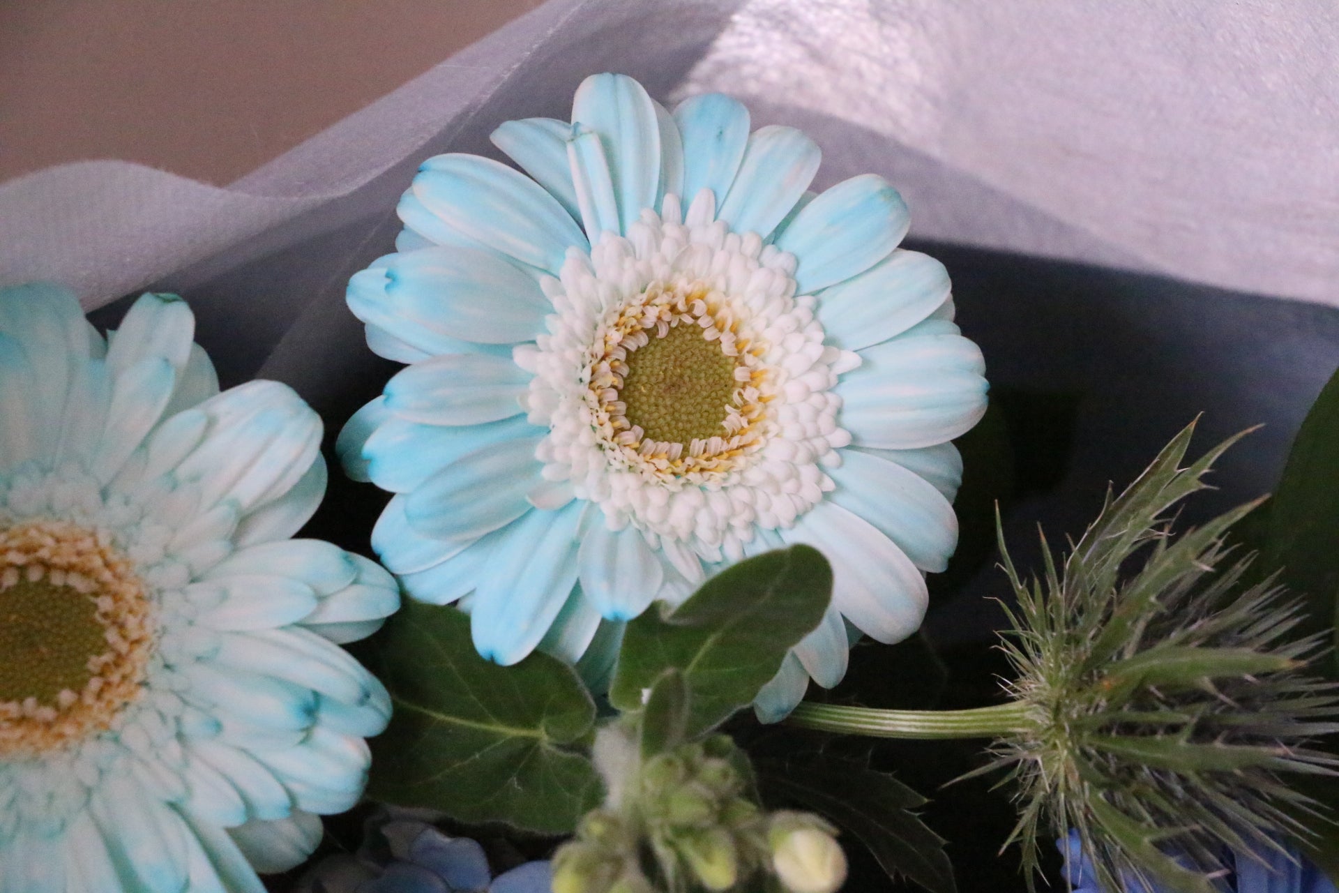 水色・青・白の花束 3,000円 – 花・花束の通販サイト｜HanaTaku