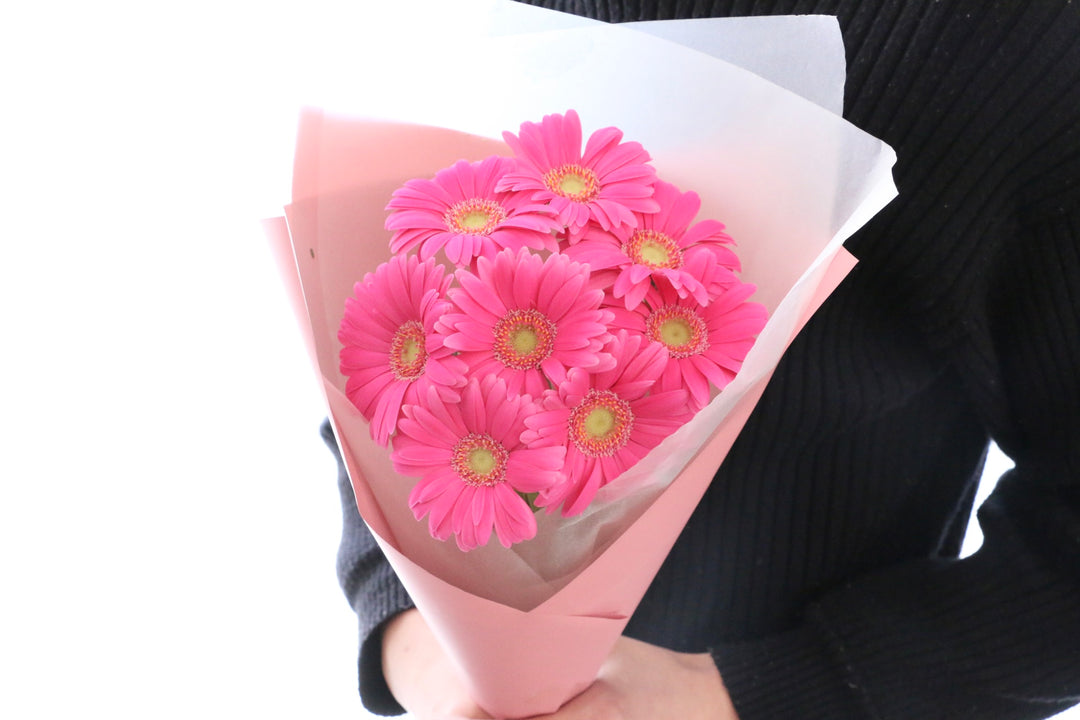 濃いピンク色のガーベラの花束（8本）-あなたの思いやりに感謝します