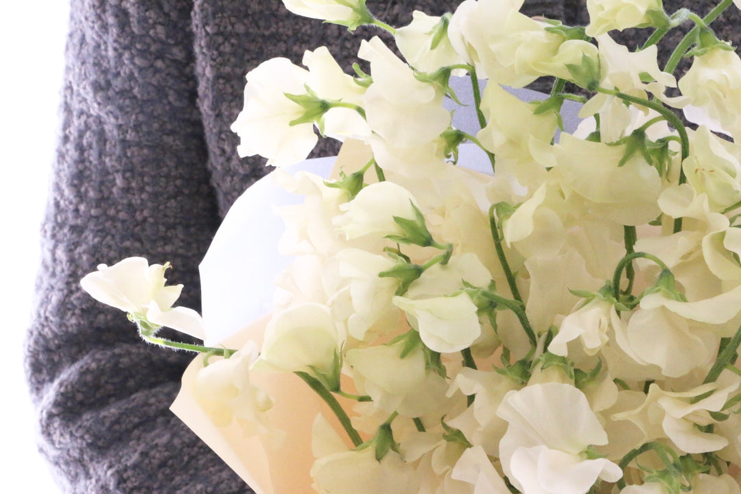 クリーム色のスイートピーの花束（25本）