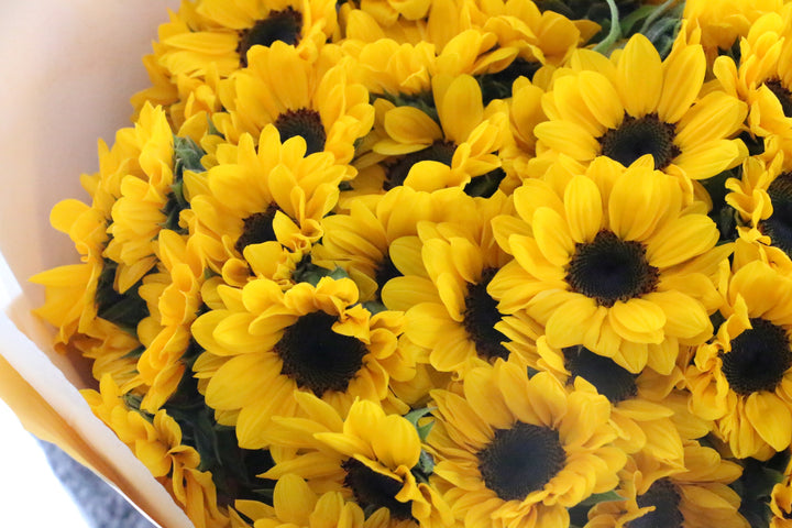 ひまわりの花束（40本）-あなたに永遠の愛を誓います