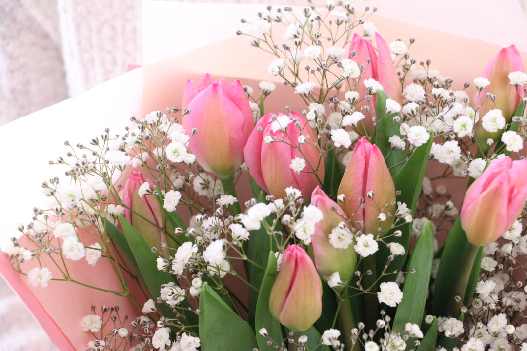 ピンクのチューリップ（9本）とカスミソウの花束