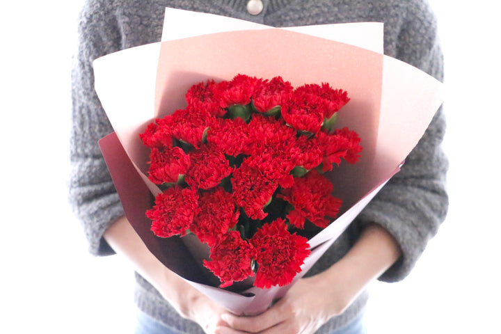 赤色のカーネーションの花束（20本）